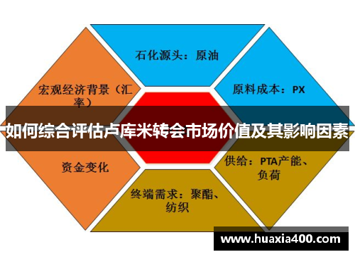 如何综合评估卢库米转会市场价值及其影响因素
